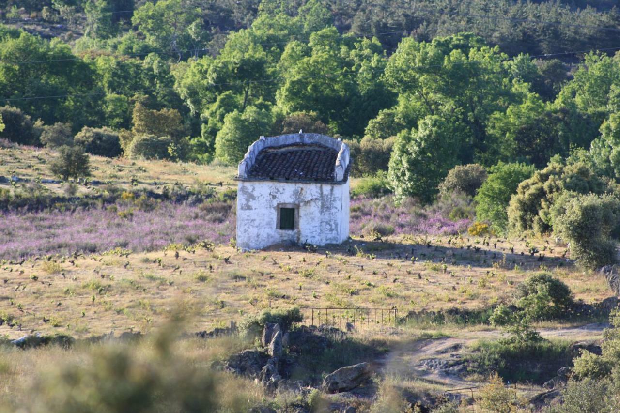 Penzion Casa De L Barrio Picote Exteriér fotografie